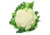 Autocollant Chou-fleur