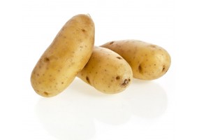 Autocollant Pomme de terre