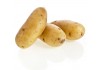 Autocollant Pomme de terre