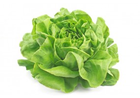 Autocollant Salade Laitue