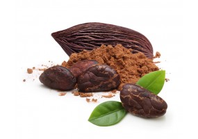 Sticker Fève de cacao