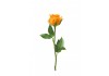 Sticker Rose Orange