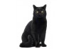 Autocollant Chat noir