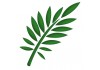 Sticker feuilles exotique