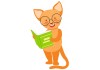 Sticker Animaux de la jungle