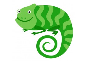 Sticker cameleon pour déco