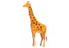 Sticker girafe adulte