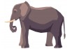 Sticker elephant adulte