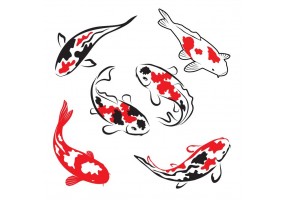 Sticker band de carpe koi