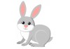 Sticker lapin gris blanc