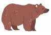 Sticker ours des voges