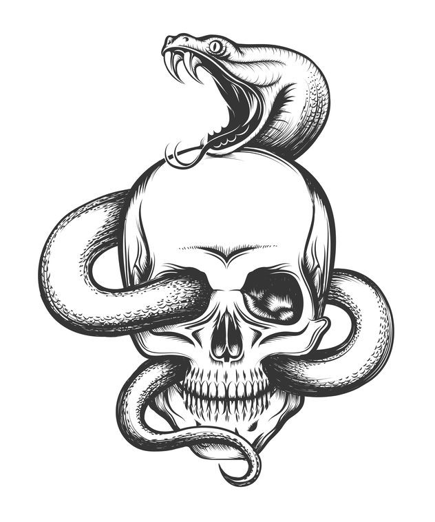 SERPENT AVEC TÊTE DE MORT CADEAU TATOO' Autocollant