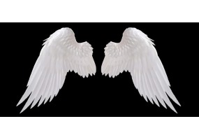 Sticker ange aile blanche