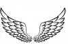 Sticker muraux ailes