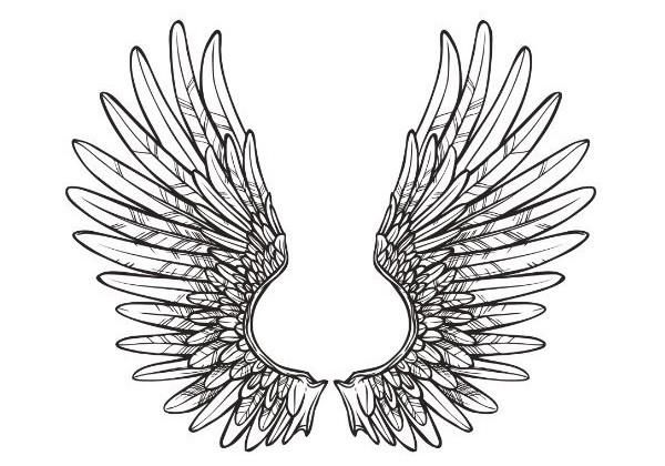 Sticker ange aile noir et blanche