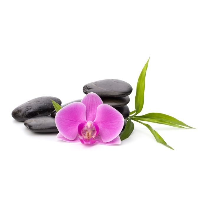 Stickers muraux déco Zen: galet orchidée