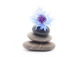 Autocollant zen salon