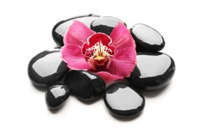 Sticker zen galet fleur rose
