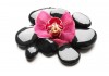Sticker zen galet fleur rose
