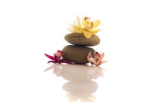 Autocollant zen galet chambre