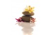 Sticker zen galet fleur