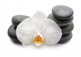 Sticker zen galet fleur blanche