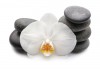 Sticker zen galet fleur blanche