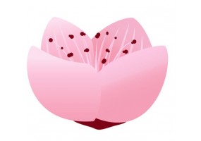 Sticker fleur lotus