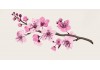 Sticker chinois branche fleurs