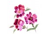 Sticker chinois triples fleurs