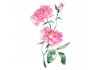 Sticker chinois fleur rose