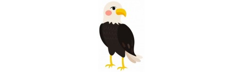 Animaux de la montagne