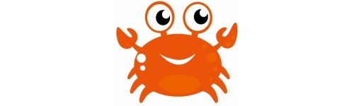 Animaux de la mer