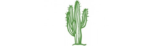 Stickers Cactus